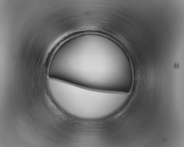 X0000113541118200909181017