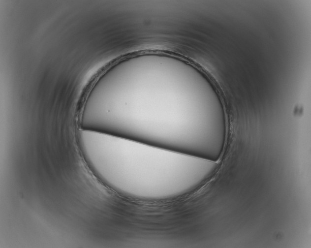 X0000113541119200909181017