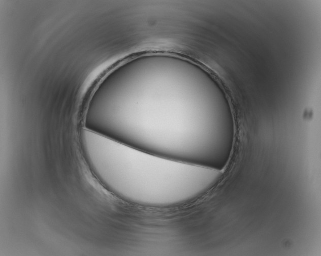 X0000113541120200909181017