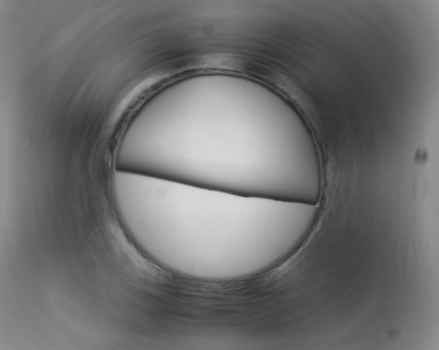 X0000113541123200909181017