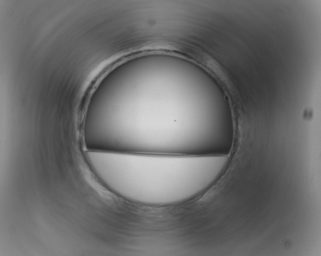 X0000113541124200909181017