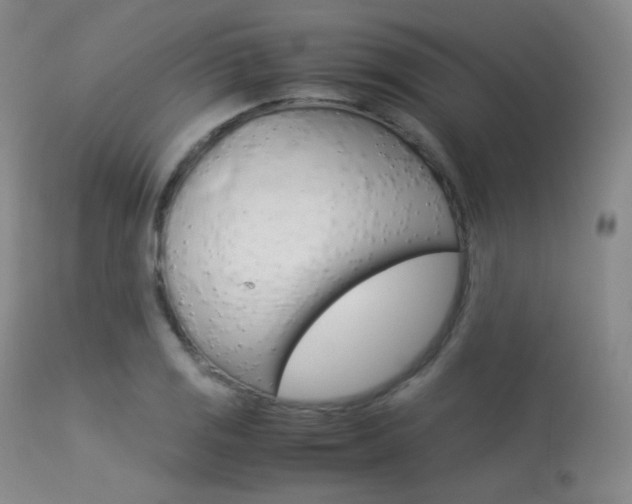 X0000113541125200909181017