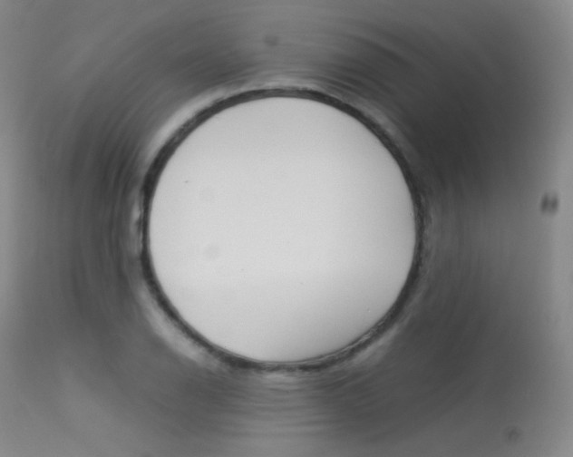 X0000113541126200909181017