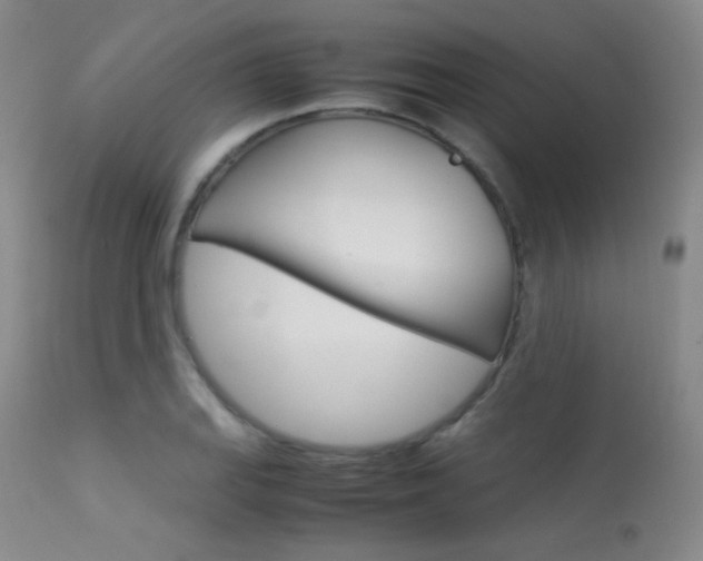 X0000113541127200909181017
