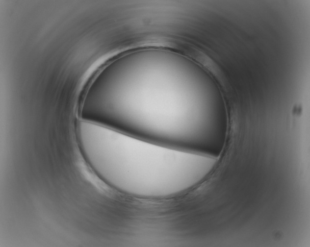 X0000113541132200909181017