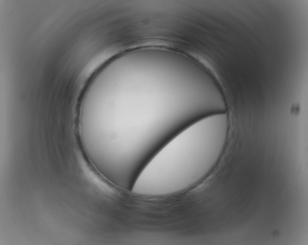 X0000113541135200909181017