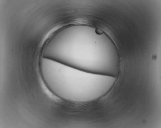 X0000113541139200909181017