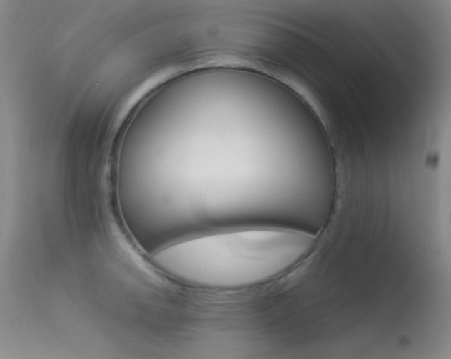 X0000113541142200909181017
