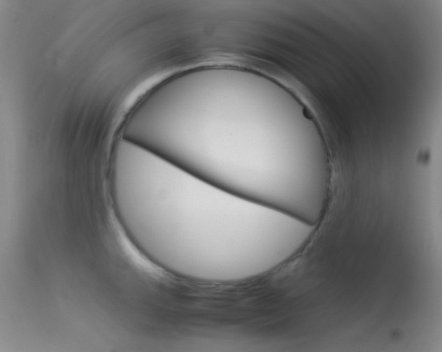 X0000113541143200909181017
