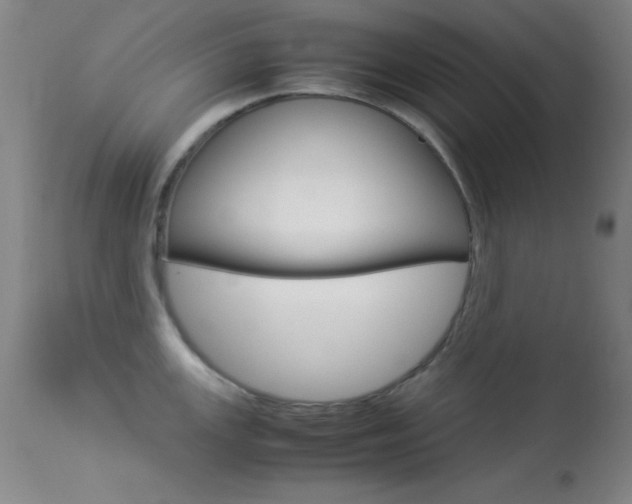 X0000113541147200909181017