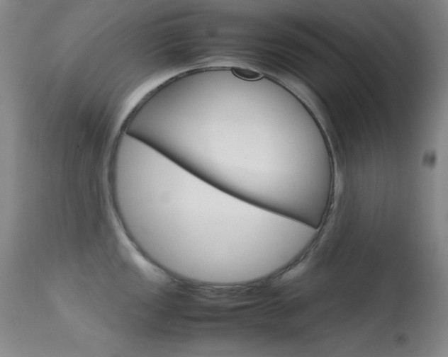 X0000113541149200909181017