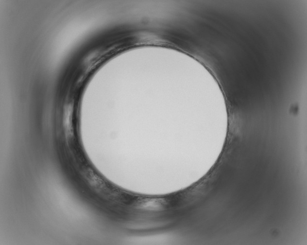 X0000113541150200909181017