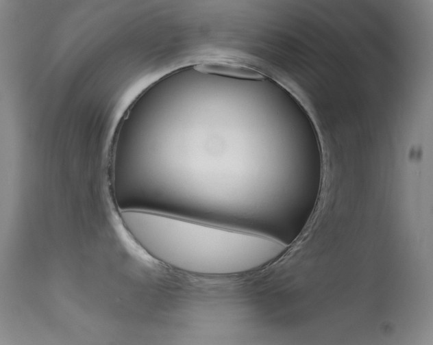 X0000113541152200909181017