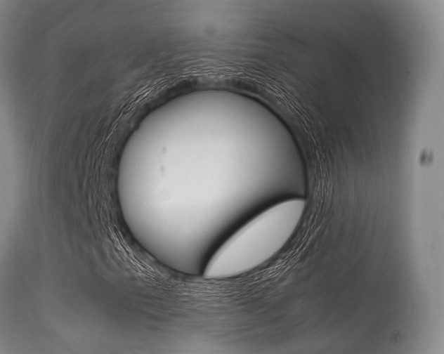X0000113541153200909181016