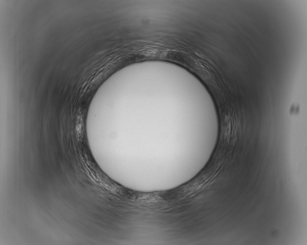 X0000113541154200909181016