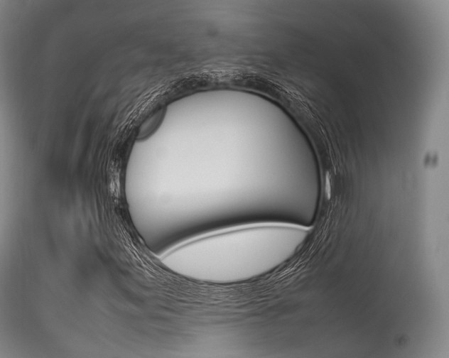 X0000113541155200909181016