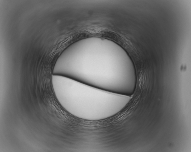 X0000113541156200909181016