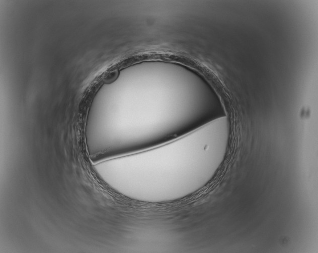 X0000113541159200909181016