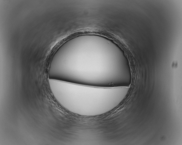 X0000113541160200909181016