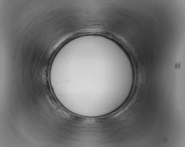 X0000113541162200909181016