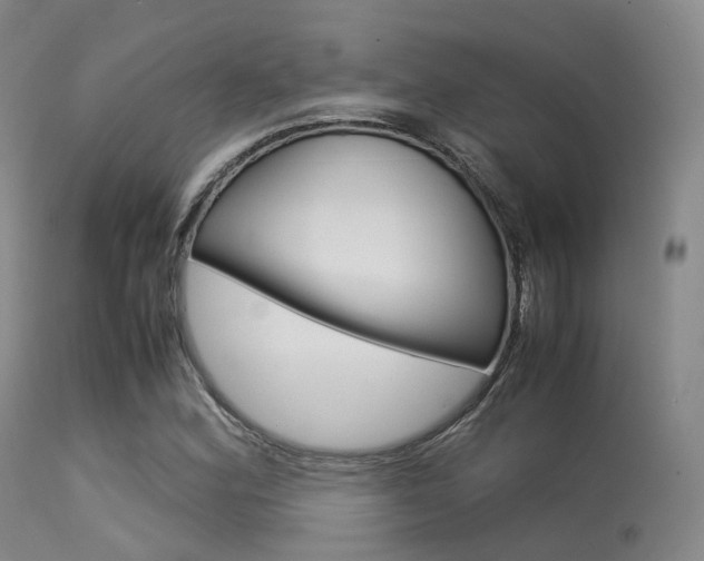 X0000113541164200909181016