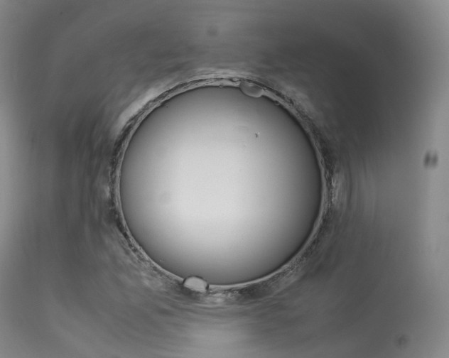 X0000113541165200909181016