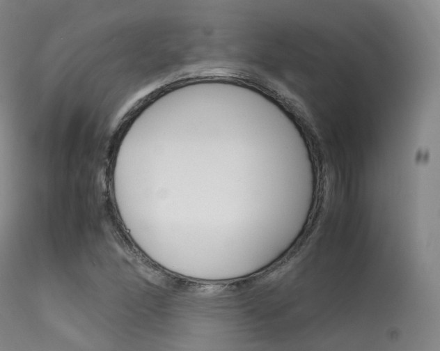 X0000113541166200909181016