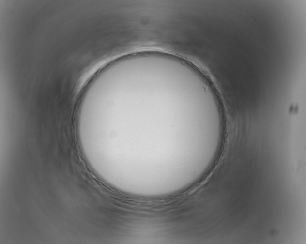 X0000113541167200909181016