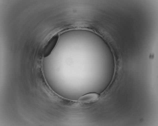 X0000113541169200909181016