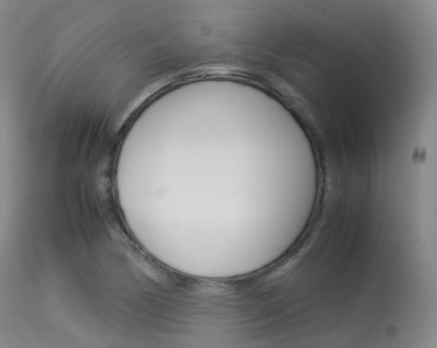X0000113541170200909181016