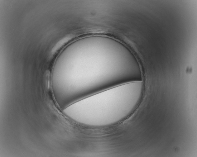 X0000113541171200909181016