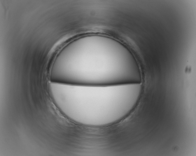 X0000113541172200909181016