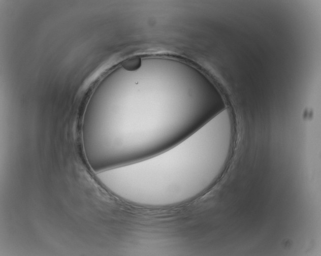 X0000113541173200909181016
