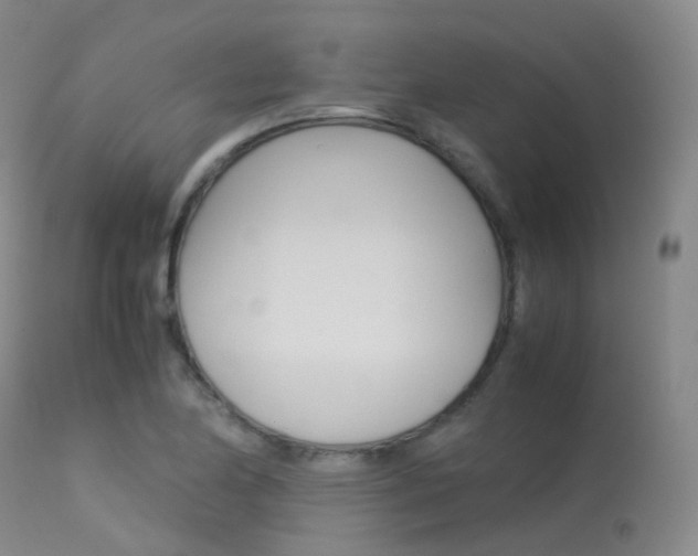 X0000113541174200909181016