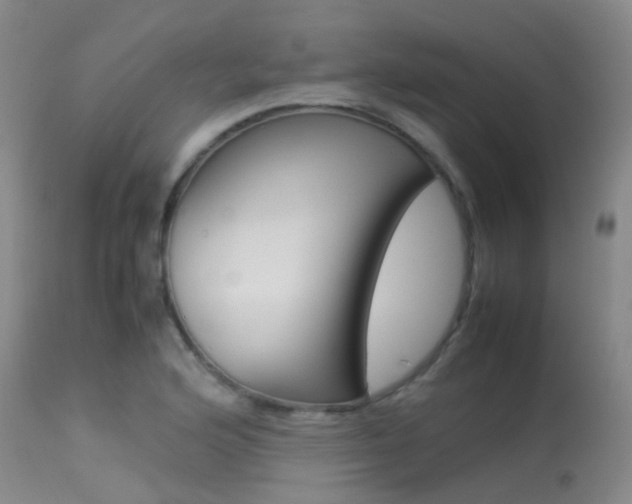X0000113541176200909181016