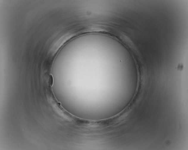 X0000113541177200909181016