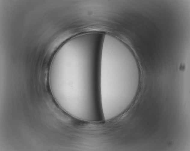 X0000113541179200909181016