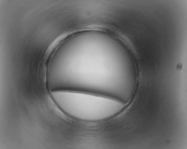 X0000113541180200909181016
