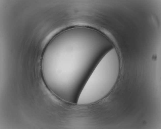 X0000113541183200909181016