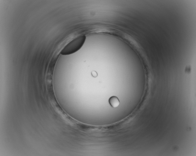 X0000113541185200909181016
