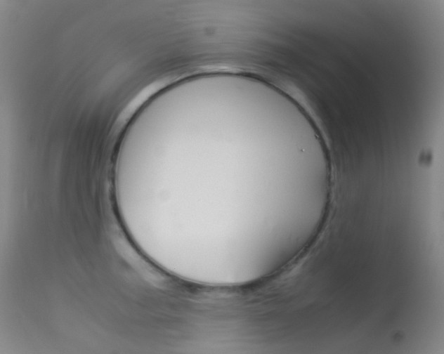 X0000113541187200909181016