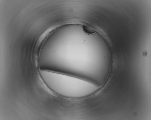 X0000113541188200909181016