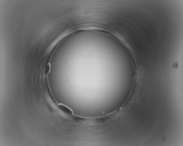 X0000113541189200909181016