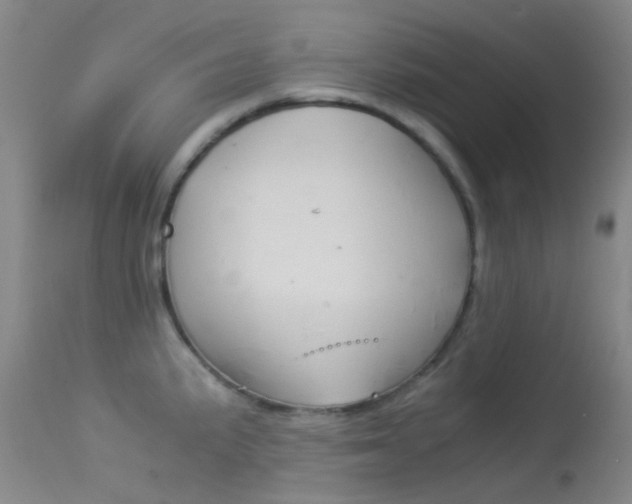 X0000113541191200909181016