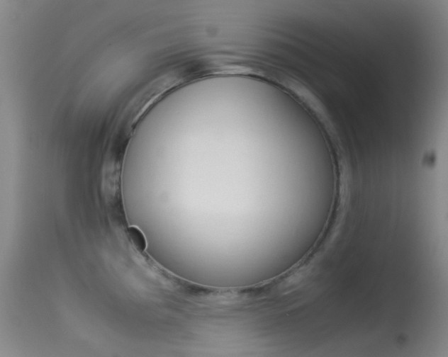 X0000113541193200909181016