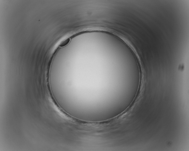 X0000113541197200909181016