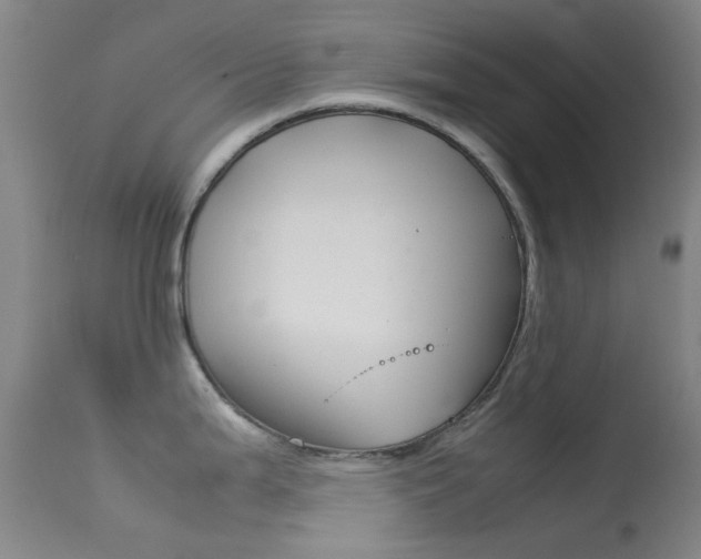 X0000113541199200909181016