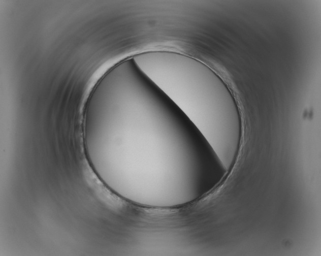 X0000113541200200909181016