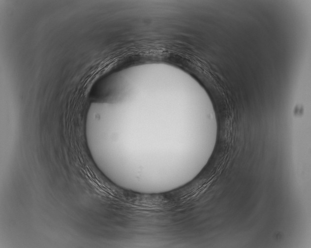 X0000113541201200909181015