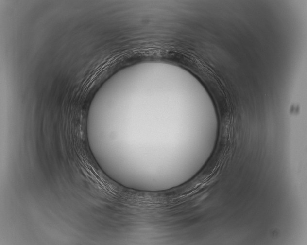 X0000113541202200909181015